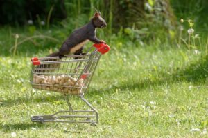 shopping